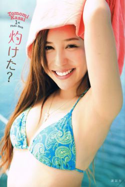 燕归西窗月